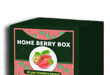 Home Berry Box conjunto de cultivo de fresa - comentarios de usuarios actuales 2020 - cómo usarlo, como funciona, opiniones, foro, precio, donde comprar, mercadona - España